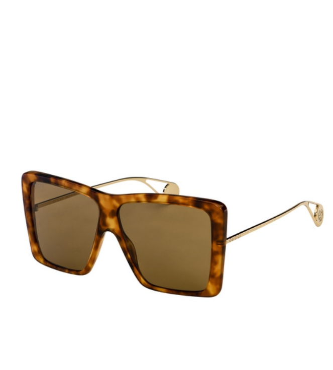 Gucci Brown Havana Square Sunglasses Optika Zeiss